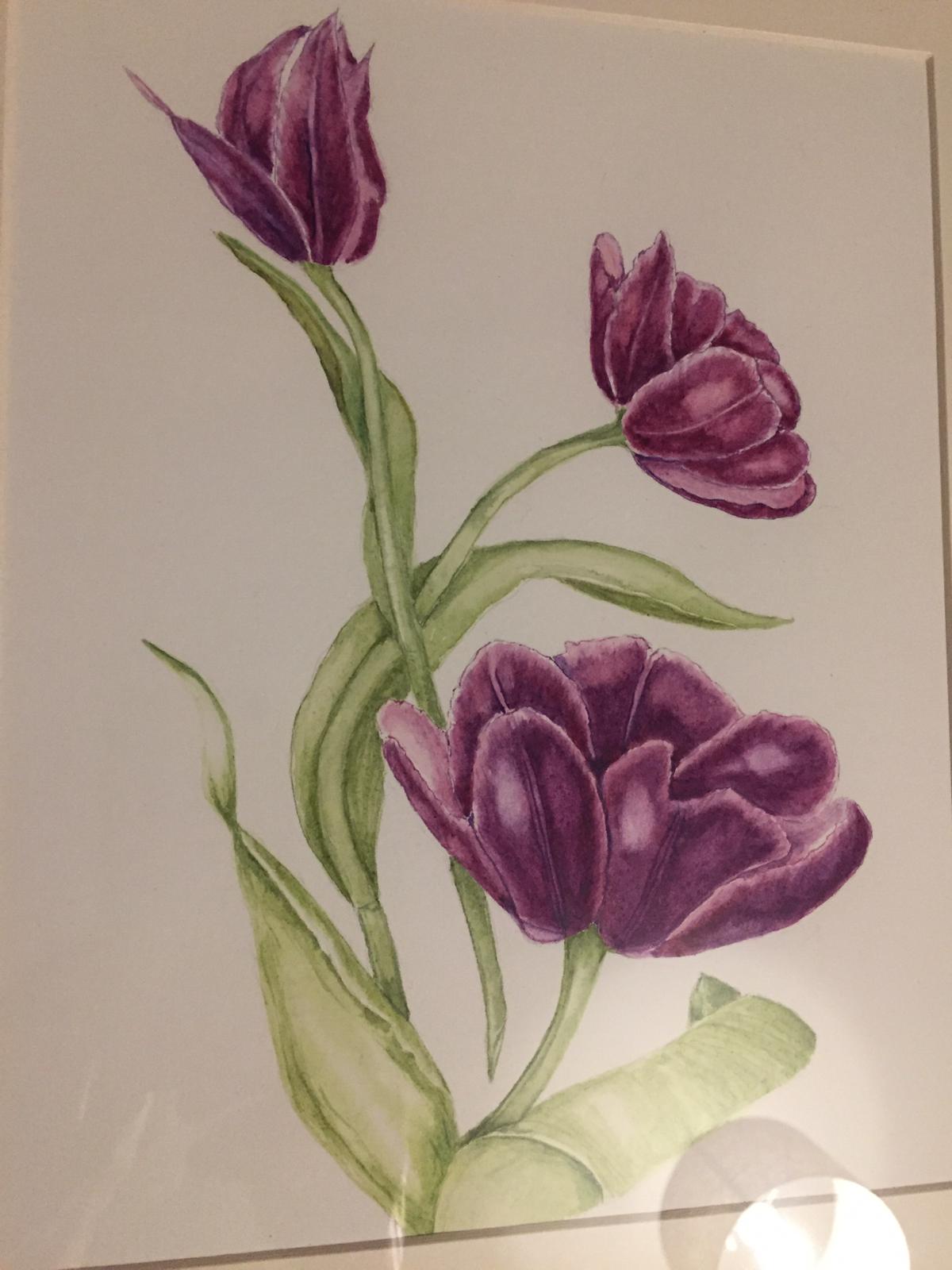Diana Alwin Original Artwork - Purple Tulips