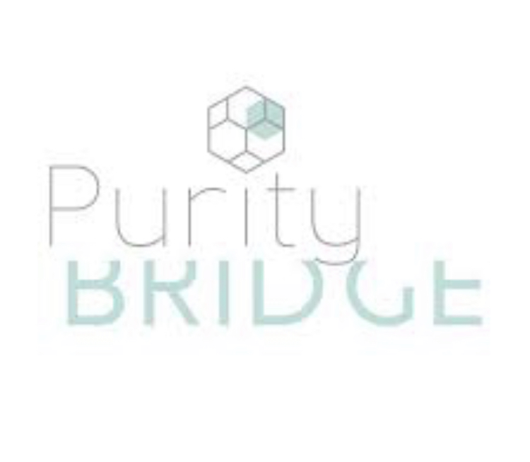 A Purity Bridge Experience