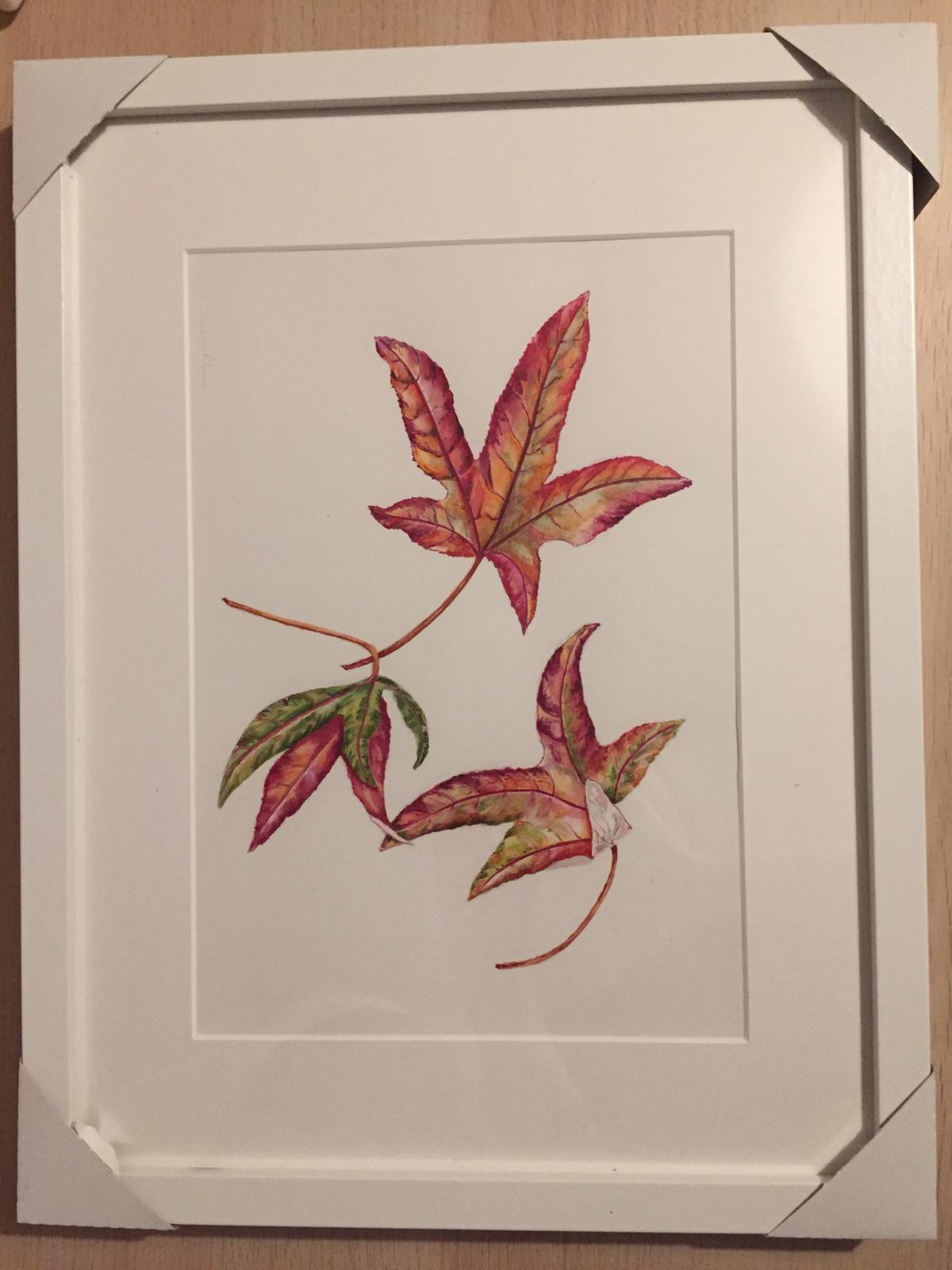 Diana Alwin Original Artwork - Autumn Leaves