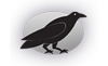 Ravenscote PTA